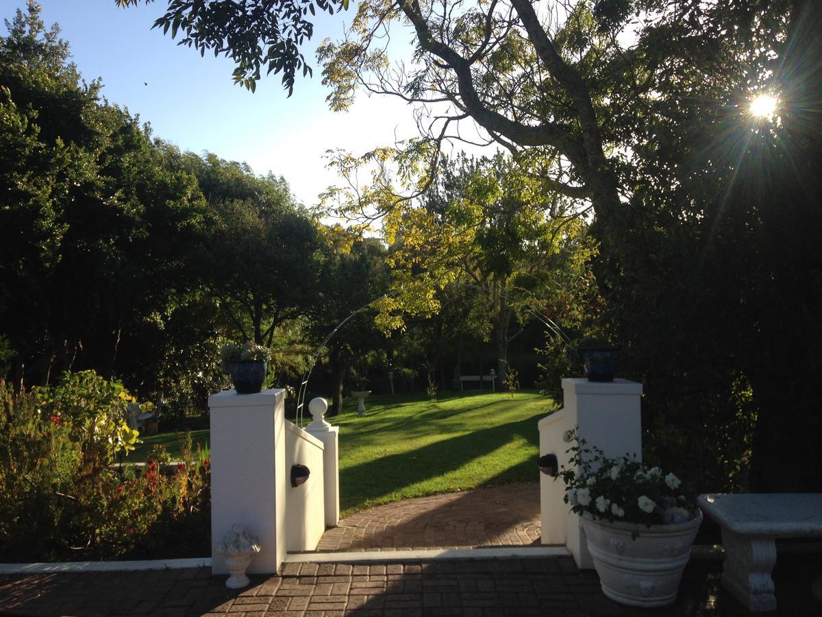 Constantia Spring Bed & Breakfast Exterior photo