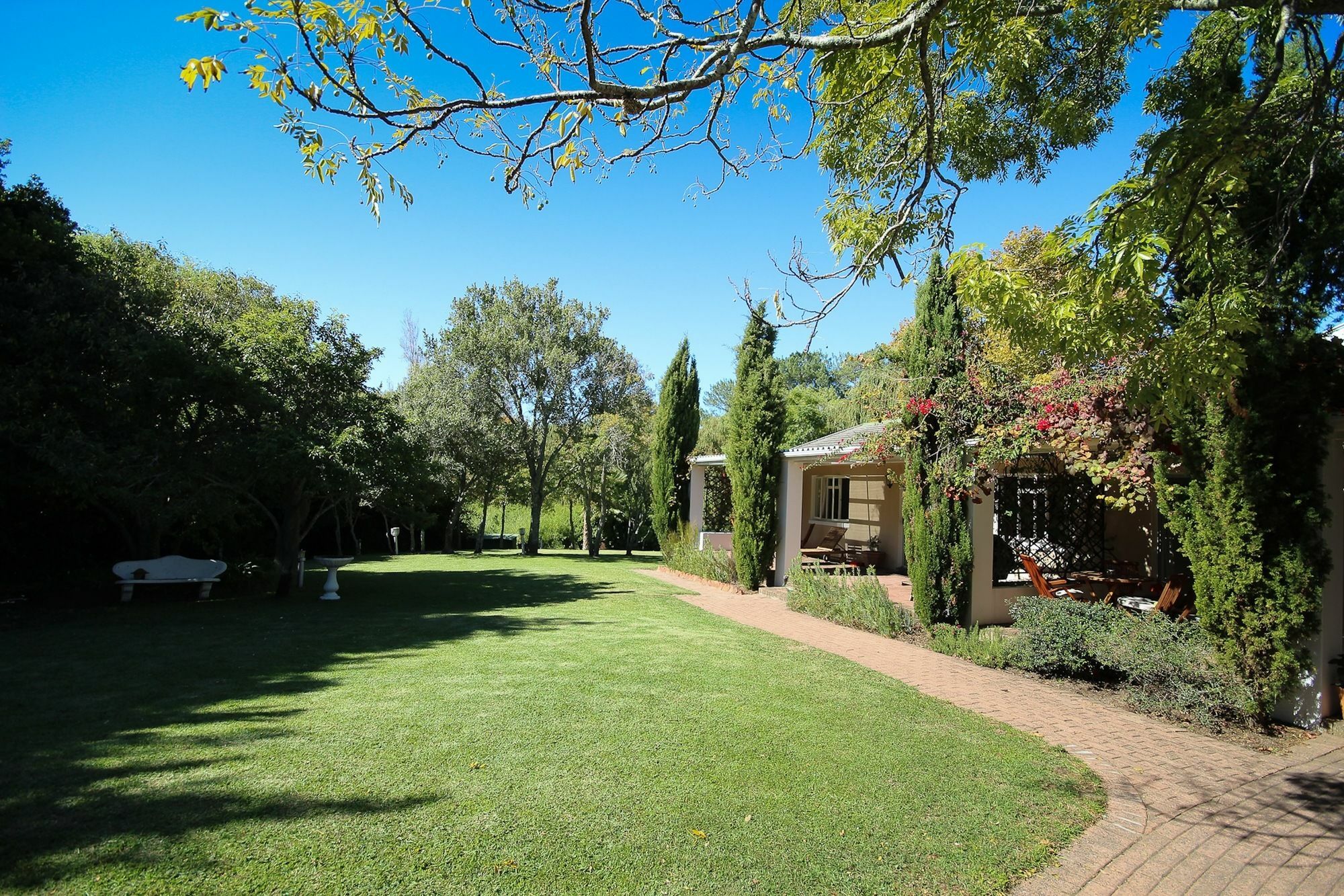 Constantia Spring Bed & Breakfast Exterior photo