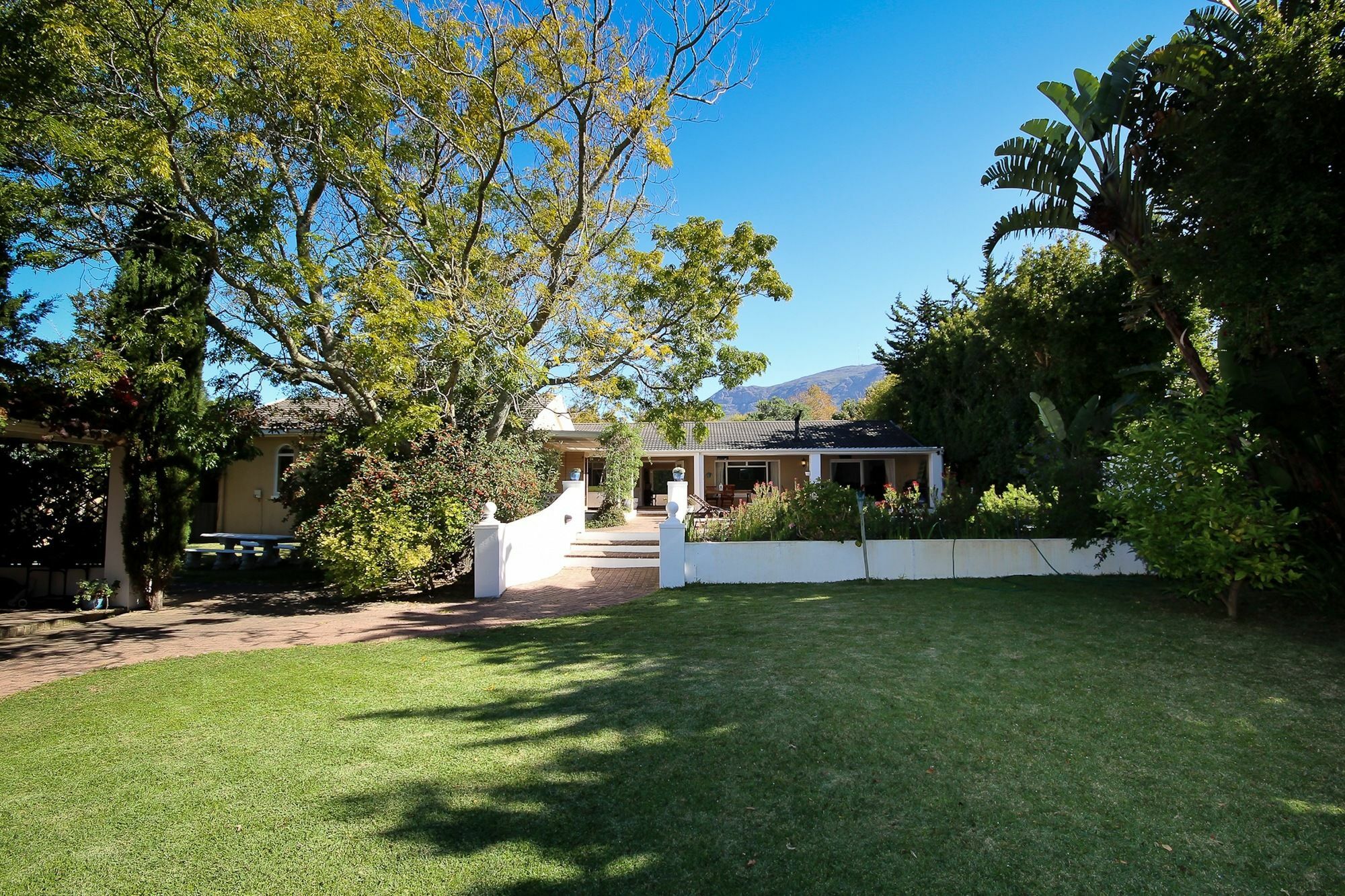 Constantia Spring Bed & Breakfast Exterior photo